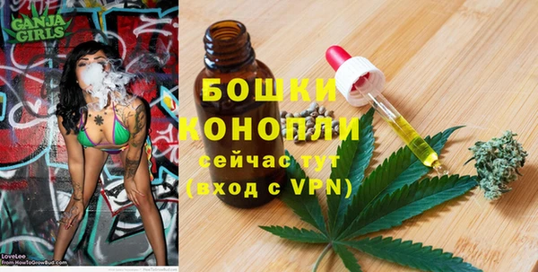 ГАЛЛЮЦИНОГЕННЫЕ ГРИБЫ Бородино