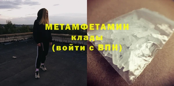 ГАЛЛЮЦИНОГЕННЫЕ ГРИБЫ Бородино