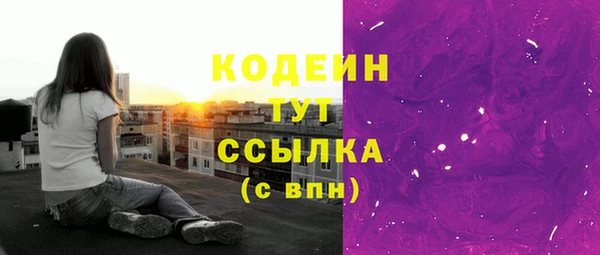 ГАЛЛЮЦИНОГЕННЫЕ ГРИБЫ Бородино