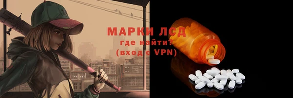 ГАЛЛЮЦИНОГЕННЫЕ ГРИБЫ Бородино