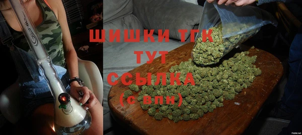 ГАЛЛЮЦИНОГЕННЫЕ ГРИБЫ Бородино