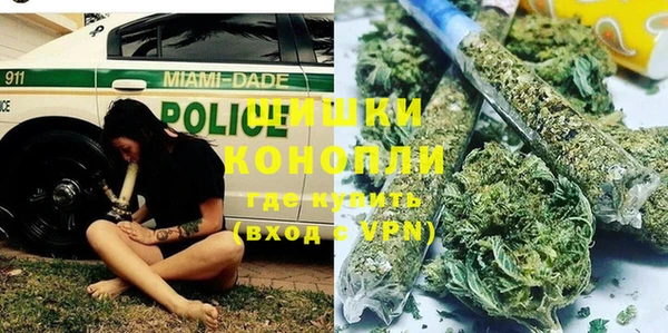 ГАЛЛЮЦИНОГЕННЫЕ ГРИБЫ Бородино