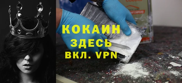 ГАЛЛЮЦИНОГЕННЫЕ ГРИБЫ Бородино