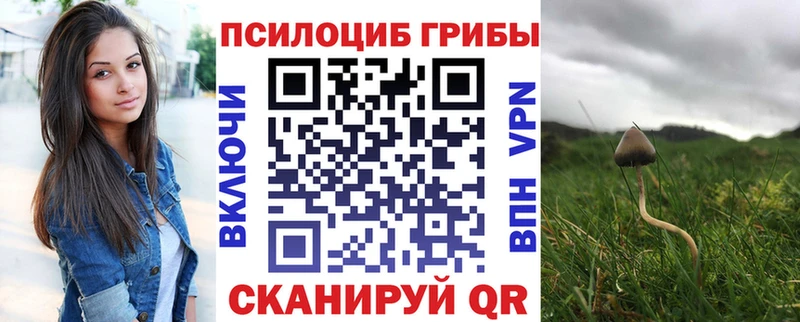 Купить где  Курлово  Псилоцибиновые грибы MAGIC MUSHROOMS 